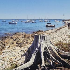 Campings Camping de Bayadene : photos des chambres