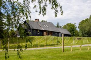 Best Location! Mountain Retreat on 7 Acres with Pond