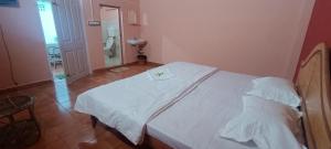 wild campers homestay