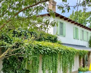 TerraVino Retreat at Lake Balaton