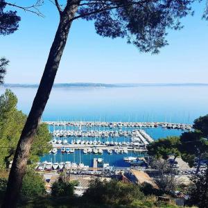 Maisons de vacances PINE and house DIRECTION with private jacuzzi - : photos des chambres