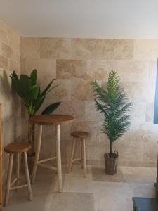 Maisons de vacances PINE and house DIRECTION with private jacuzzi - : photos des chambres