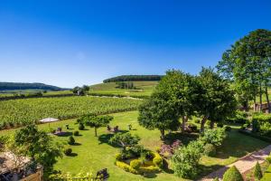 Hotels Villa Louise : photos des chambres