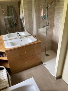 Maisons de vacances Grande ferme restauree 18eme siecle a deux pas de Condom et Nerac Tennis Piscine : photos des chambres