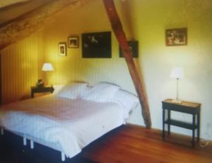 Maisons de vacances Grande ferme restauree 18eme siecle a deux pas de Condom et Nerac Tennis Piscine : photos des chambres