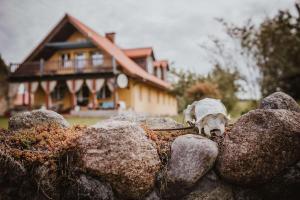 Agroturystyka Pod Gwiazdami