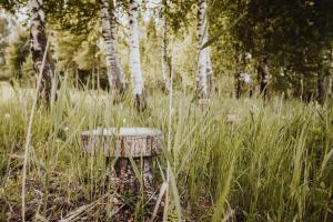 Agroturystyka Pod Gwiazdami