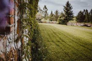 Agroturystyka Pod Gwiazdami