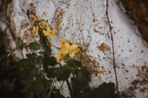 Agroturystyka Pod Gwiazdami