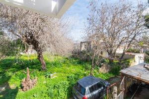 Elns Sunlit Apartment
