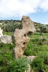 Locanda Domus De Vida img63