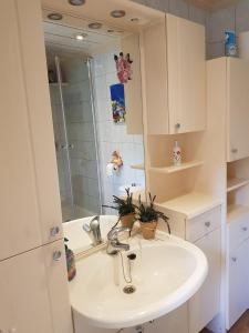 Natuurbungalow Het Koolmeesje