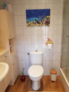 Natuurbungalow Het Koolmeesje