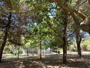 Casa delle ninfee vicino al lungomare