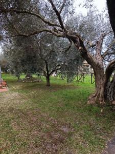 Appartamento Farfollie