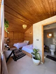 Meddur Siwa Oasis - 锡瓦