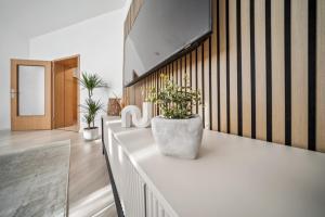 Helle, gemütliche Wohnung in Zentrumsnähe