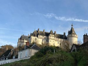 Maisons d'hotes Toue de Loire : photos des chambres