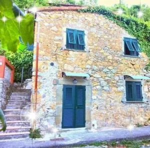 Dépendance - Quaratica