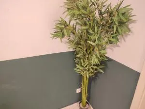 Workation Jungle 4 Personen, Waschmaschine, Zentral, Taunus, Boxspringbetten - Eppstein