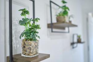 Lovely Apartments - Completo apartamento en excelente ubicación en Madrid