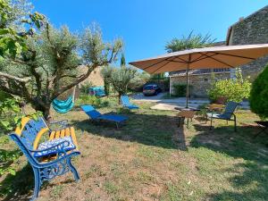 Le Chant des Tongs - Les Oliviers