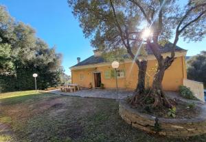 Appartements Location haut de villa privatif - vue mer : photos des chambres
