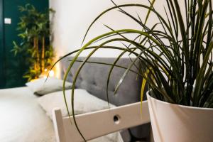 Heart of Calea Victoriei - Elegant Urban Studio