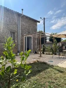 Maison Vigneronne - Stay on a vineyard - Charroux