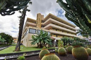 M&M SUITE LOS CACTUS by HOMESTAYGRANCANARIA