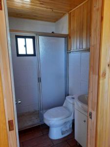 Cabañas en Purén Tranamán La Loma