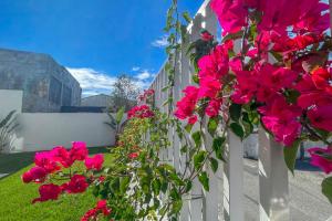 Sintra Dream Garden Villa