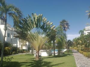 Apartment mit Meerblick direkt an der Playa Popy