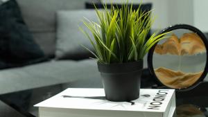 Ferienwohnung - modernes Heim Li-Apartments