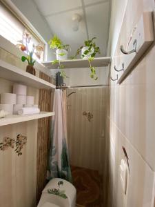 Moyobamba Hosting House