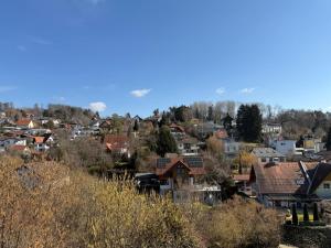 Cozy Apartment with Garden in Graz Free Parking