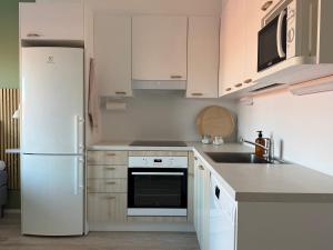 Hyvin varusteltu city-studio Turun Linnan kupeessa ja autopaikka