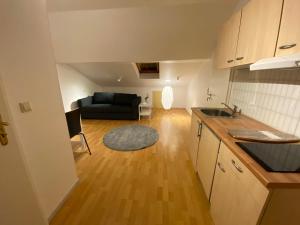 Simple studio near Kirchberg