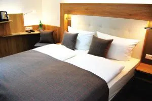 Hotel Am Martinsberg - 辛齐希