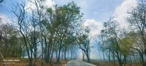 The Bulbul Nest Homestay