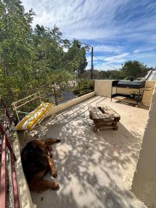 Departamento Colonos Galeses