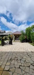 NEW WHITE villa - Daşca