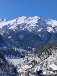 Shivaay homestay,cafe