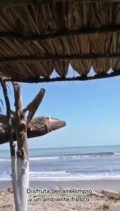 la casablanca moñitos