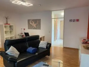Zwei Zimmer Appartment mit Balkon und Stellplatz voll möbliert - Trier- Tarforst