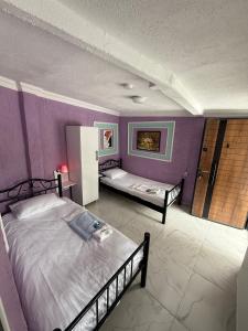 De La Terrasse IZNIK