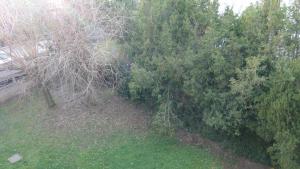 Appartements Appartement T3-4 meuble Toulouse Soupetard : photos des chambres