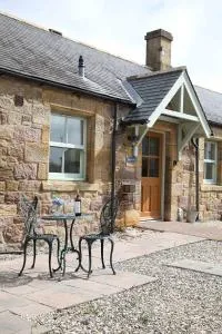 Greenfinch - Warenford