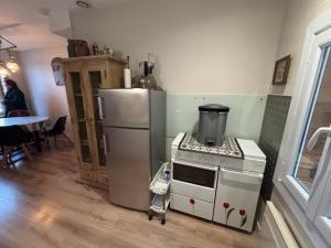 Maisons de vacances Gite de La Toue de Loire : photos des chambres