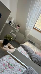 Apartmán Nová Bystřice